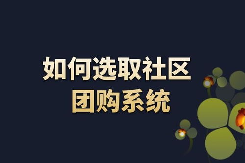 武漢網(wǎng)站建設(shè)與開(kāi)發(fā)新趨勢(shì) 金百瑞科技的專業(yè)視角